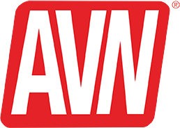 AVN article